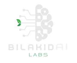 BilakidAI Labs